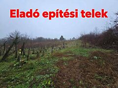 Eladó földterület Sopron