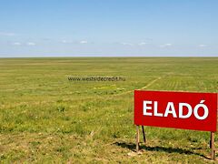 Eladó földterület Feketeerdő