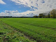 Eladó ipari Győrújbarát