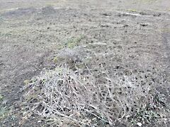 Eladó földterület Pusztaszabolcs