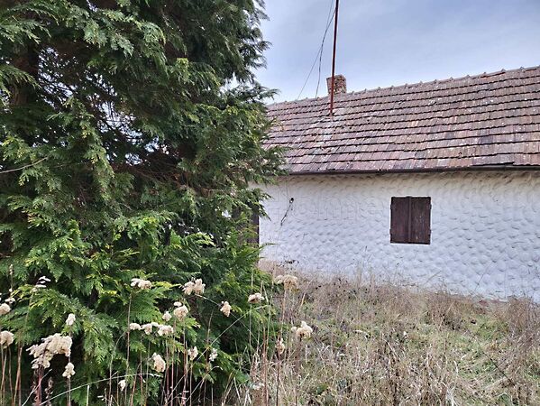 Eladó ház Petrikeresztúr