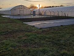 Eladó földterület Nagykanizsa