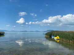 Eladó földterület Balatonfenyves