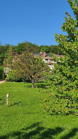 Eladó ház Budakeszi