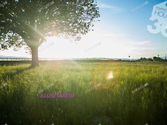 Eladó földterület Szabadszállás