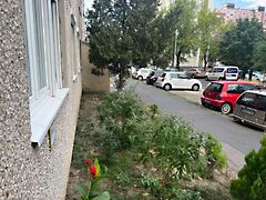 Eladó lakás Budapest, XV. kerület, Újpalota
