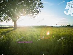 Eladó földterület Helvécia