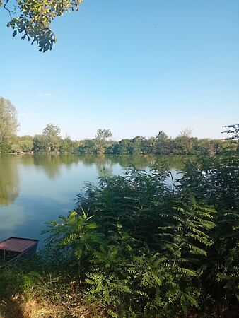 Eladó nyaraló Mezőtúr, Méher-zug