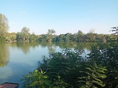 Eladó nyaraló Mezőtúr, Méher-zug