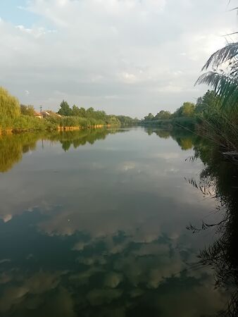 Eladó nyaraló Gyomaendrőd, Gyoma