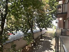 Eladó lakás Székesfehérvár